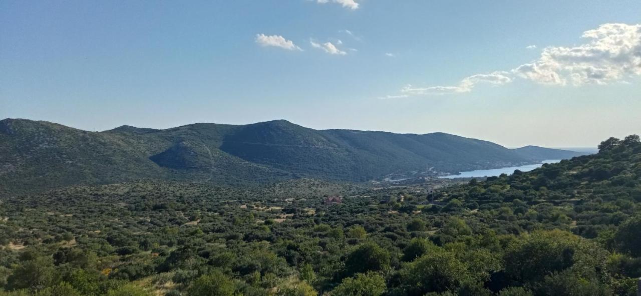 Holiday Home Peran Grebaštica エクステリア 写真