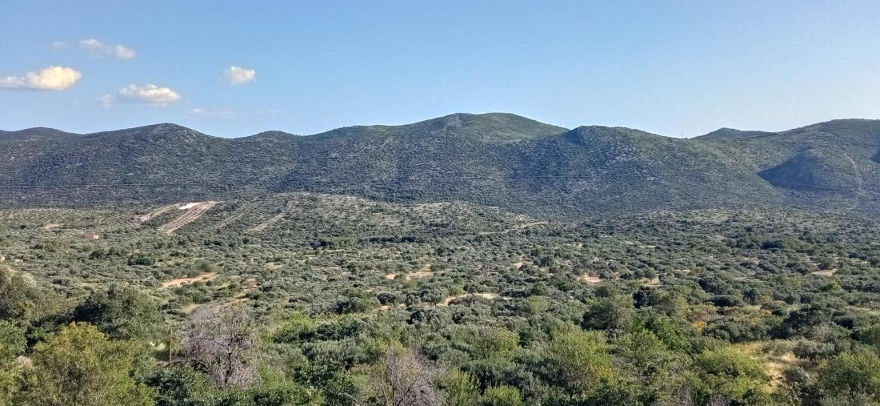 Holiday Home Peran Grebaštica エクステリア 写真